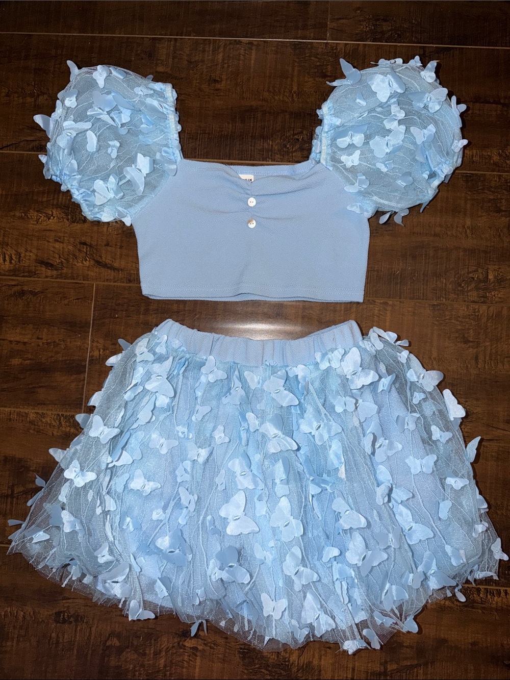 SHEIN Light Blue Butterfly Tulle Kids Matching Set
